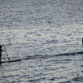 Giornata mondiale dell’acqua