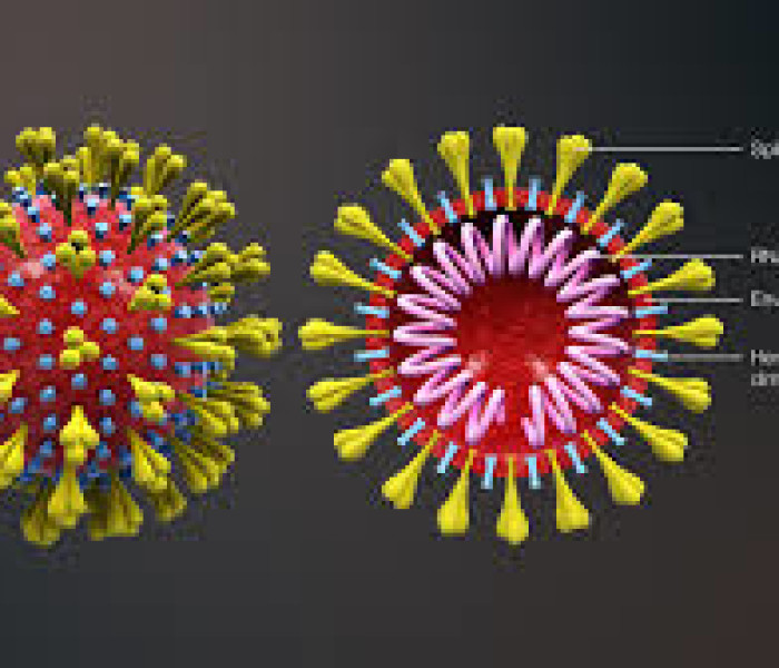 Vaccini: cura, business e povertà