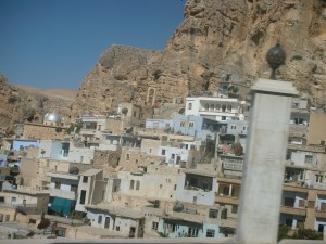 DSCN4631