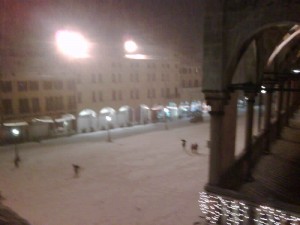 Neve