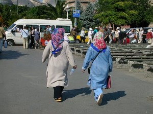 DSCN3020