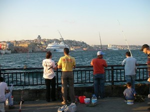 DSCN3218